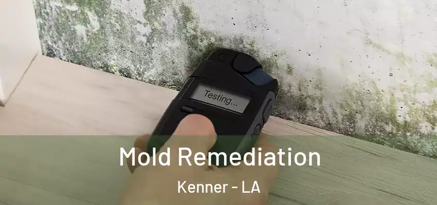  Mold Remediation Kenner - LA