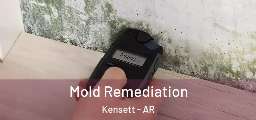  Mold Remediation Kensett - AR