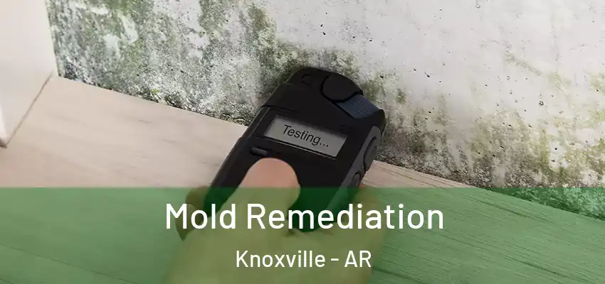  Mold Remediation Knoxville - AR