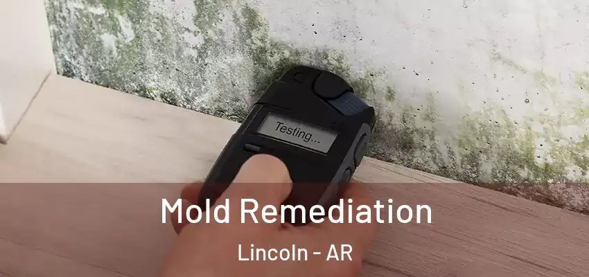  Mold Remediation Lincoln - AR