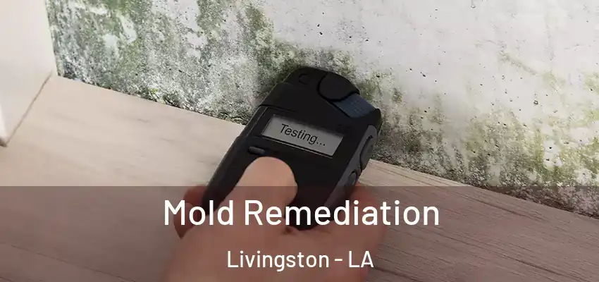  Mold Remediation Livingston - LA