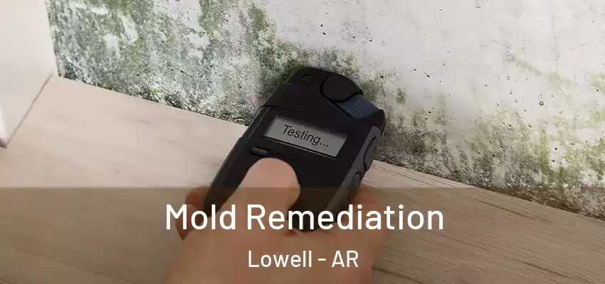  Mold Remediation Lowell - AR