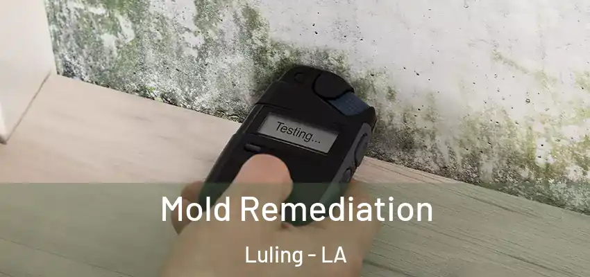  Mold Remediation Luling - LA