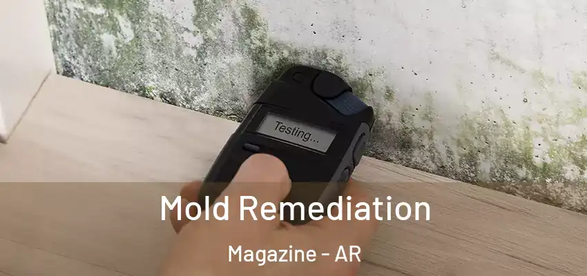  Mold Remediation Magazine - AR