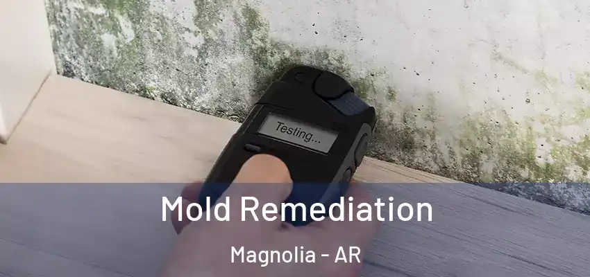  Mold Remediation Magnolia - AR