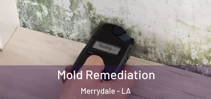  Mold Remediation Merrydale - LA