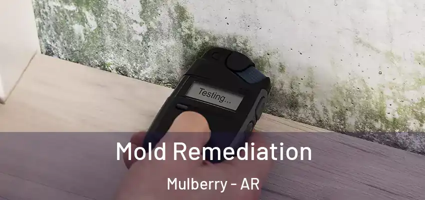  Mold Remediation Mulberry - AR
