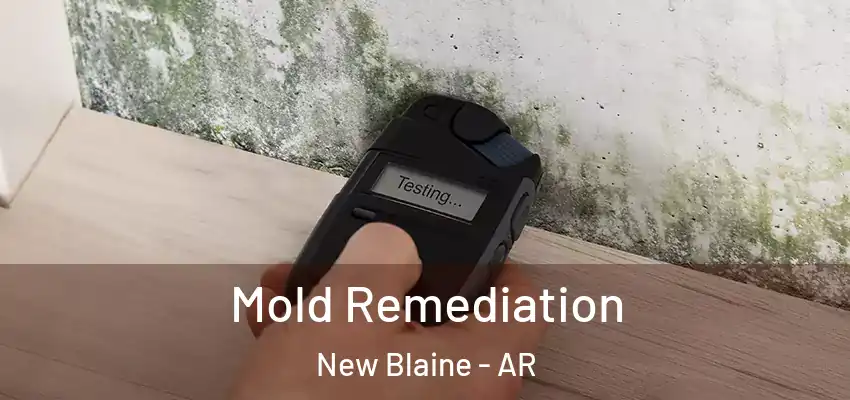  Mold Remediation New Blaine - AR