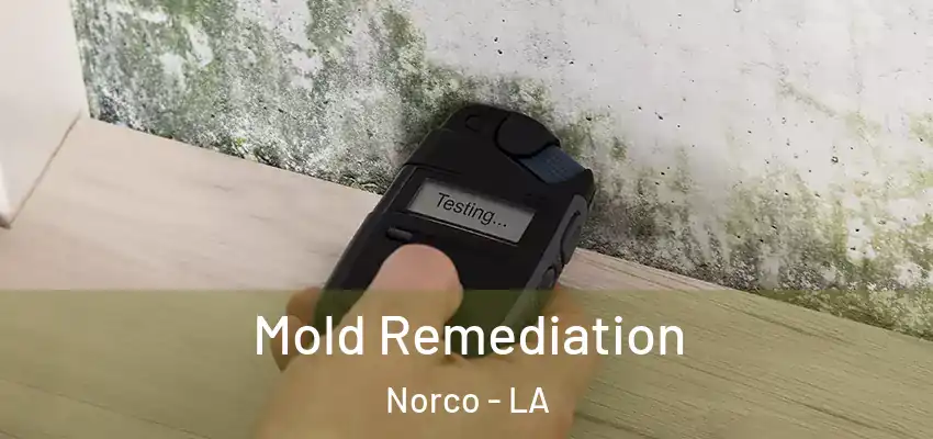 Mold Remediation Norco - LA