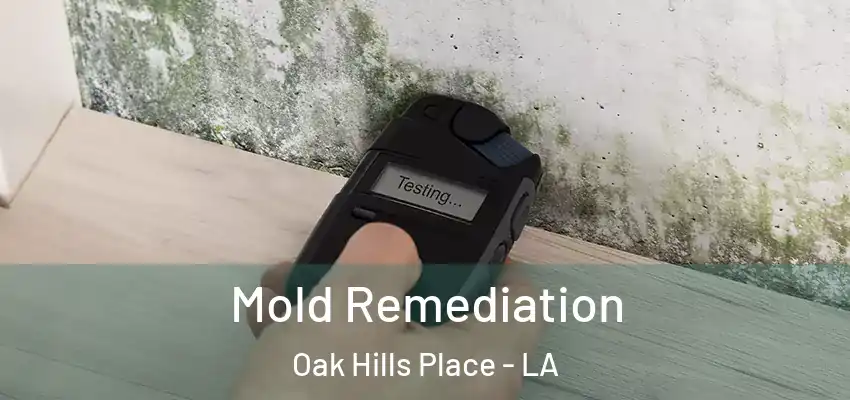  Mold Remediation Oak Hills Place - LA