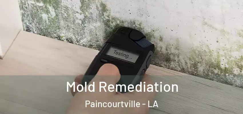  Mold Remediation Paincourtville - LA
