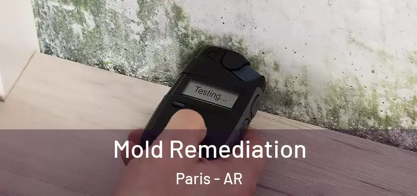  Mold Remediation Paris - AR