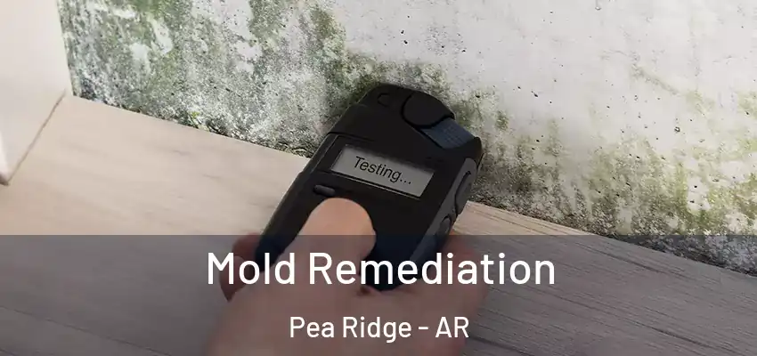 Mold Remediation Pea Ridge - AR