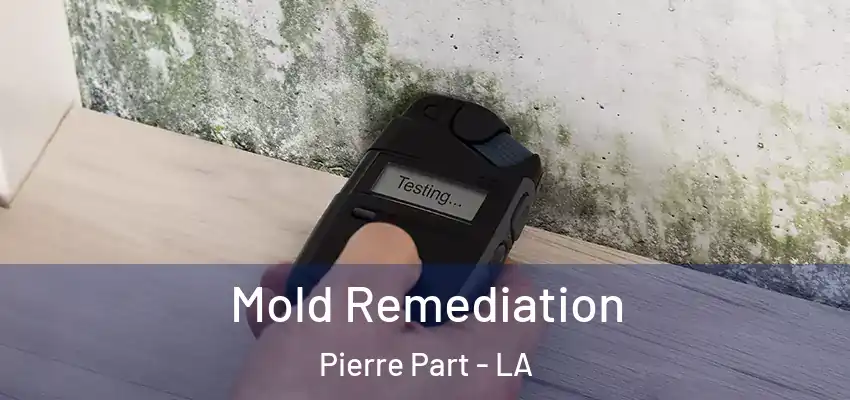  Mold Remediation Pierre Part - LA