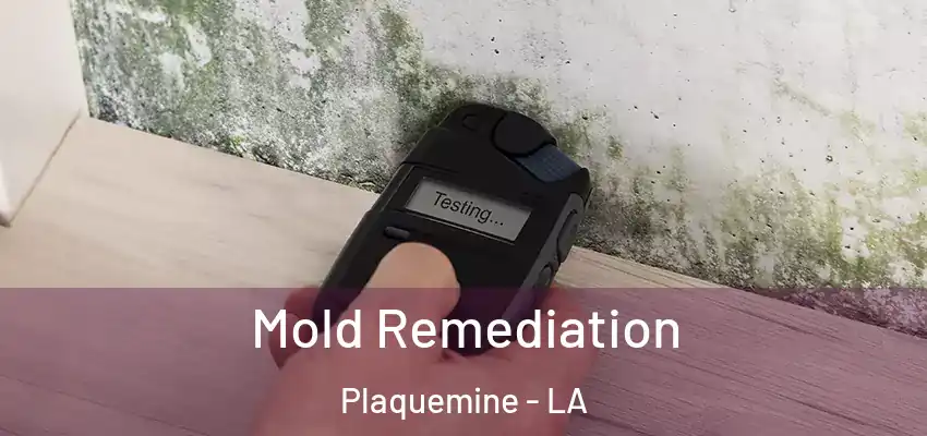  Mold Remediation Plaquemine - LA