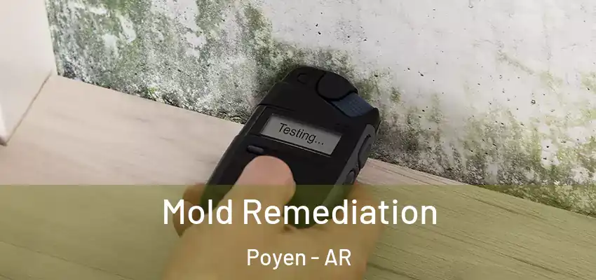  Mold Remediation Poyen - AR