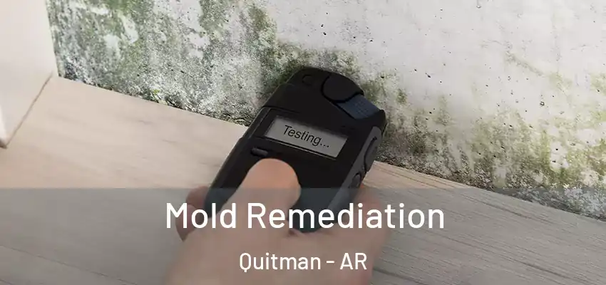  Mold Remediation Quitman - AR