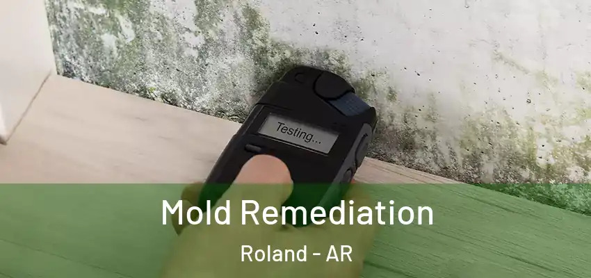  Mold Remediation Roland - AR