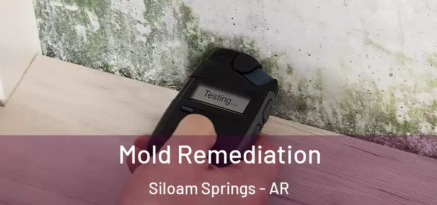  Mold Remediation Siloam Springs - AR