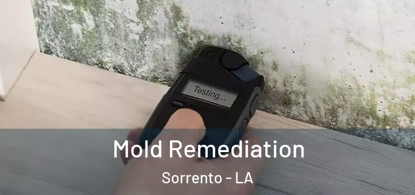  Mold Remediation Sorrento - LA