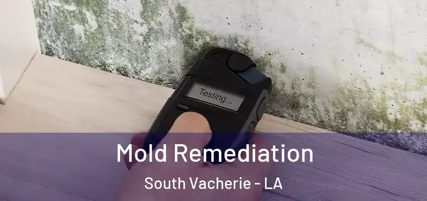  Mold Remediation South Vacherie - LA