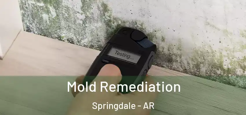  Mold Remediation Springdale - AR