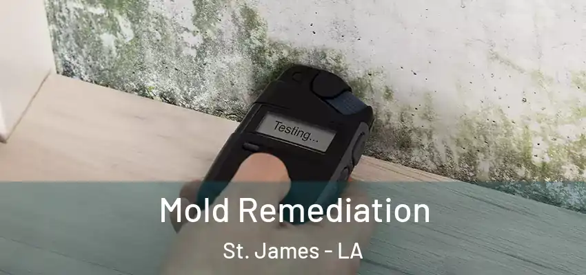 Mold Remediation St. James - LA