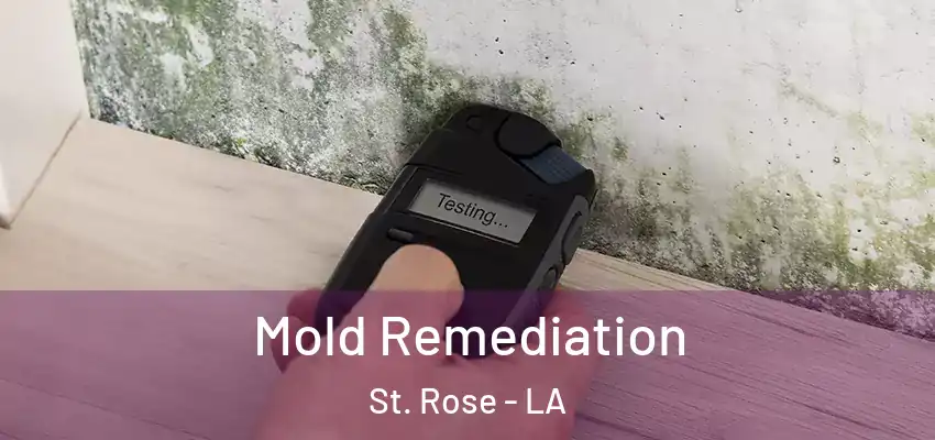  Mold Remediation St. Rose - LA