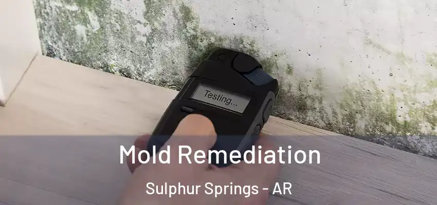  Mold Remediation Sulphur Springs - AR