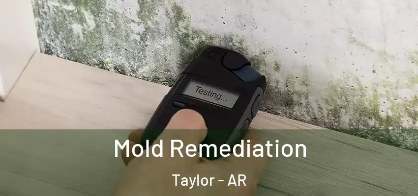  Mold Remediation Taylor - AR