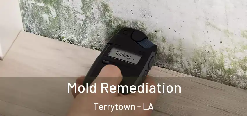  Mold Remediation Terrytown - LA