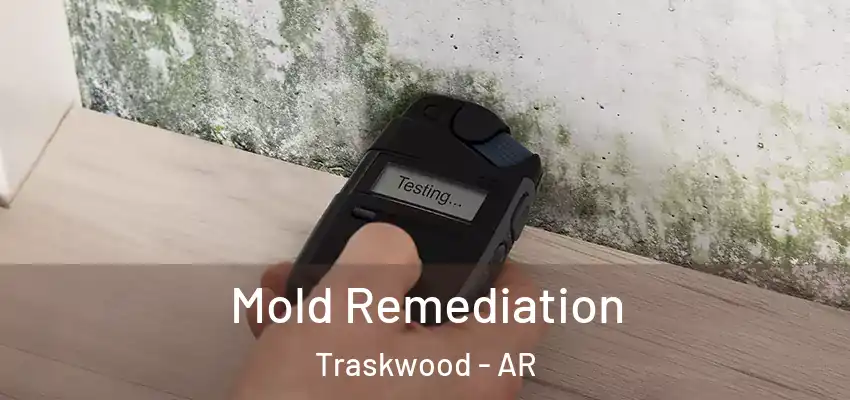  Mold Remediation Traskwood - AR