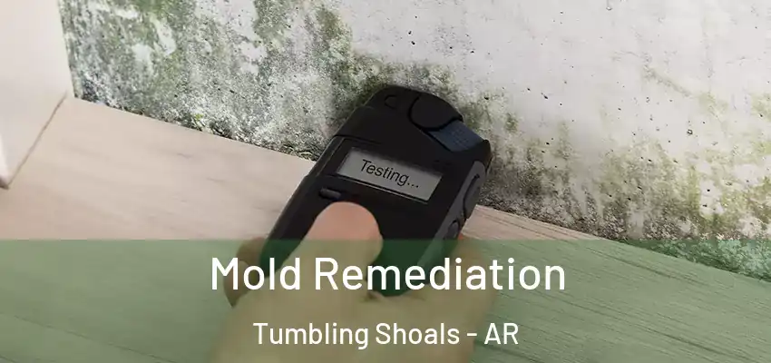  Mold Remediation Tumbling Shoals - AR