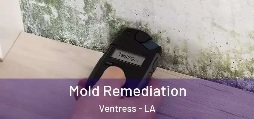  Mold Remediation Ventress - LA