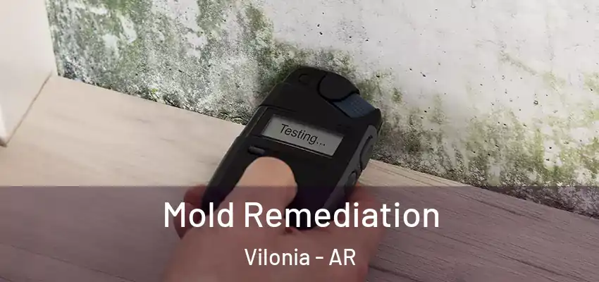  Mold Remediation Vilonia - AR