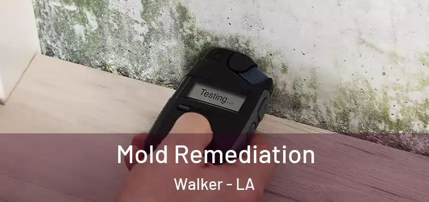  Mold Remediation Walker - LA