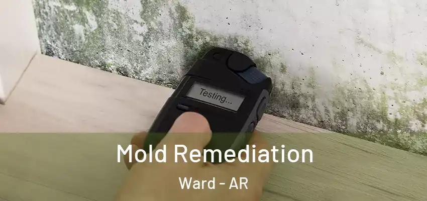  Mold Remediation Ward - AR