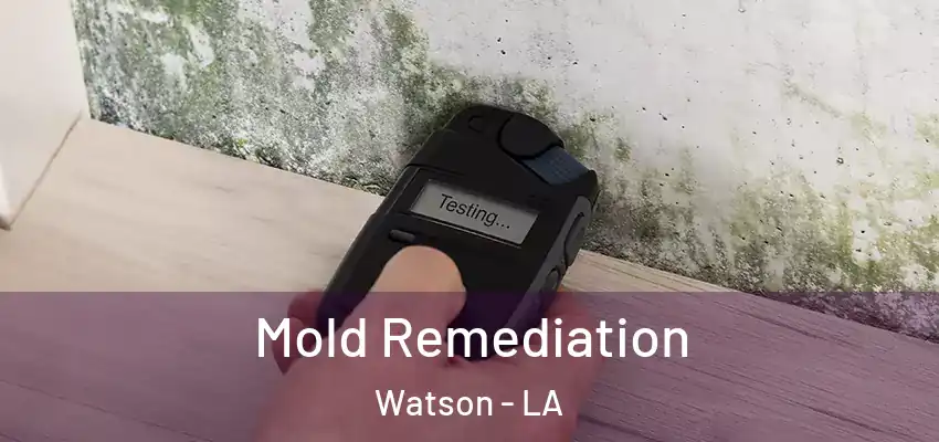  Mold Remediation Watson - LA