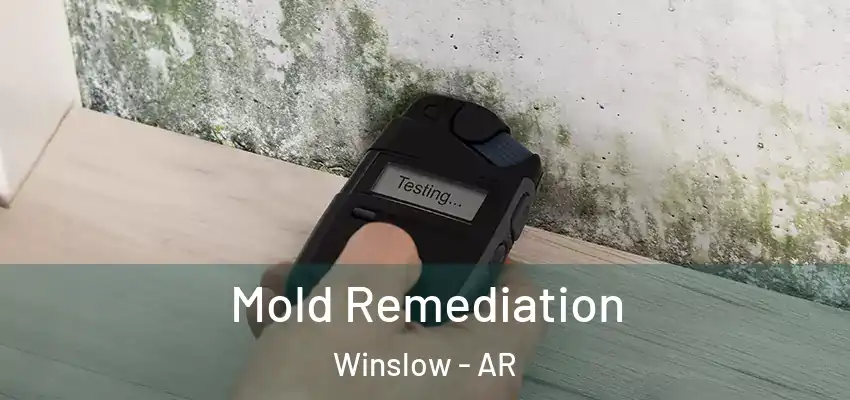  Mold Remediation Winslow - AR