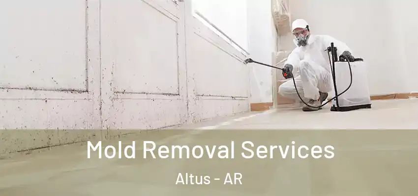 Mold Removal Services Altus - AR