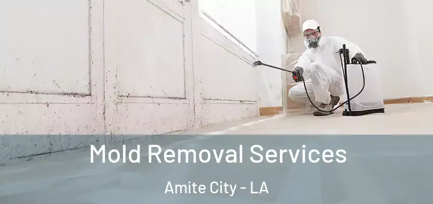  Mold Removal Services Amite City - LA