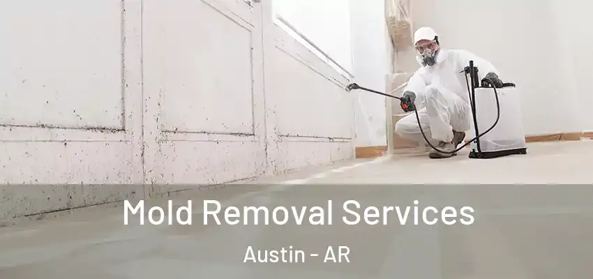Mold Removal Services Austin - AR