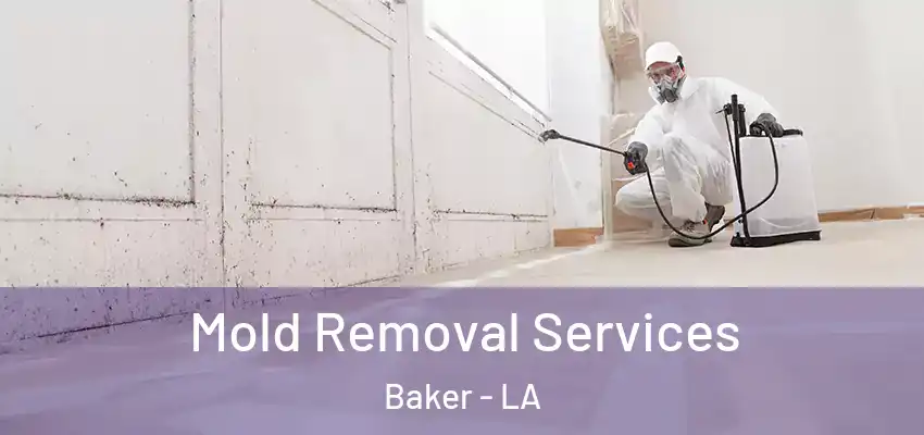  Mold Removal Services Baker - LA