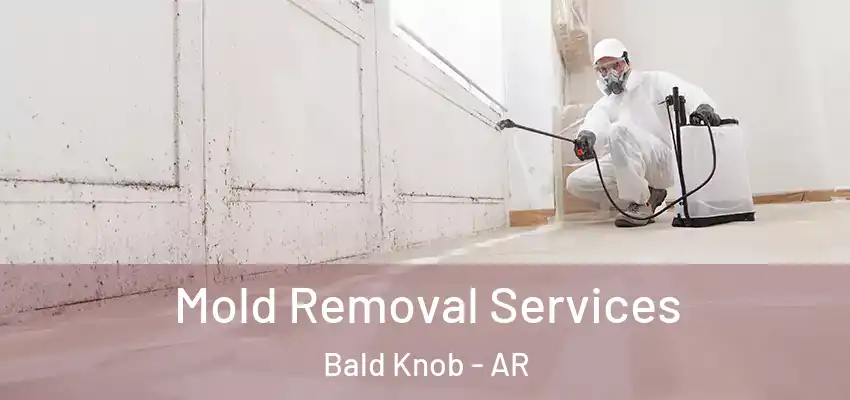  Mold Removal Services Bald Knob - AR