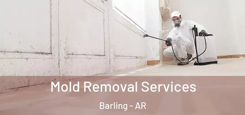 Mold Removal Services Barling - AR