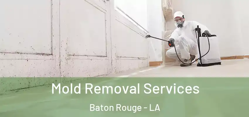  Mold Removal Services Baton Rouge - LA