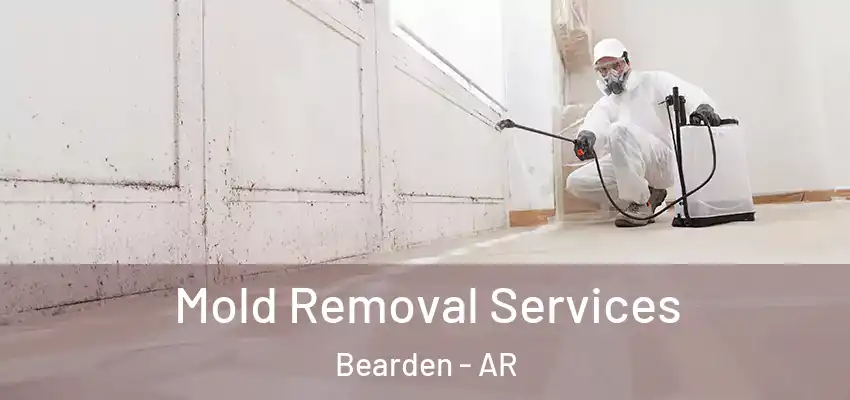  Mold Removal Services Bearden - AR