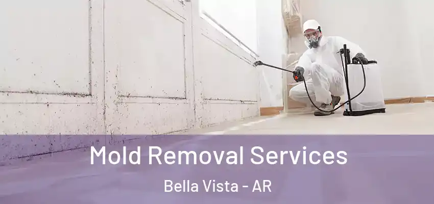  Mold Removal Services Bella Vista - AR