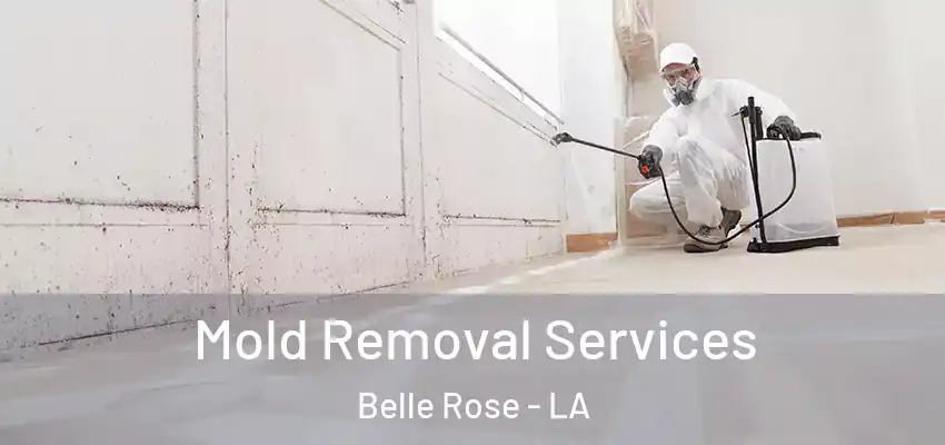  Mold Removal Services Belle Rose - LA