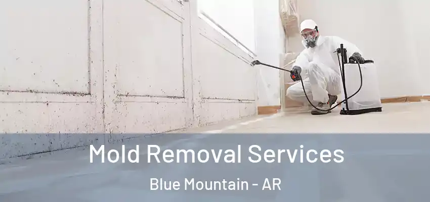  Mold Removal Services Blue Mountain - AR